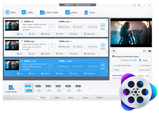 WinX Video Converter Deluxe Download